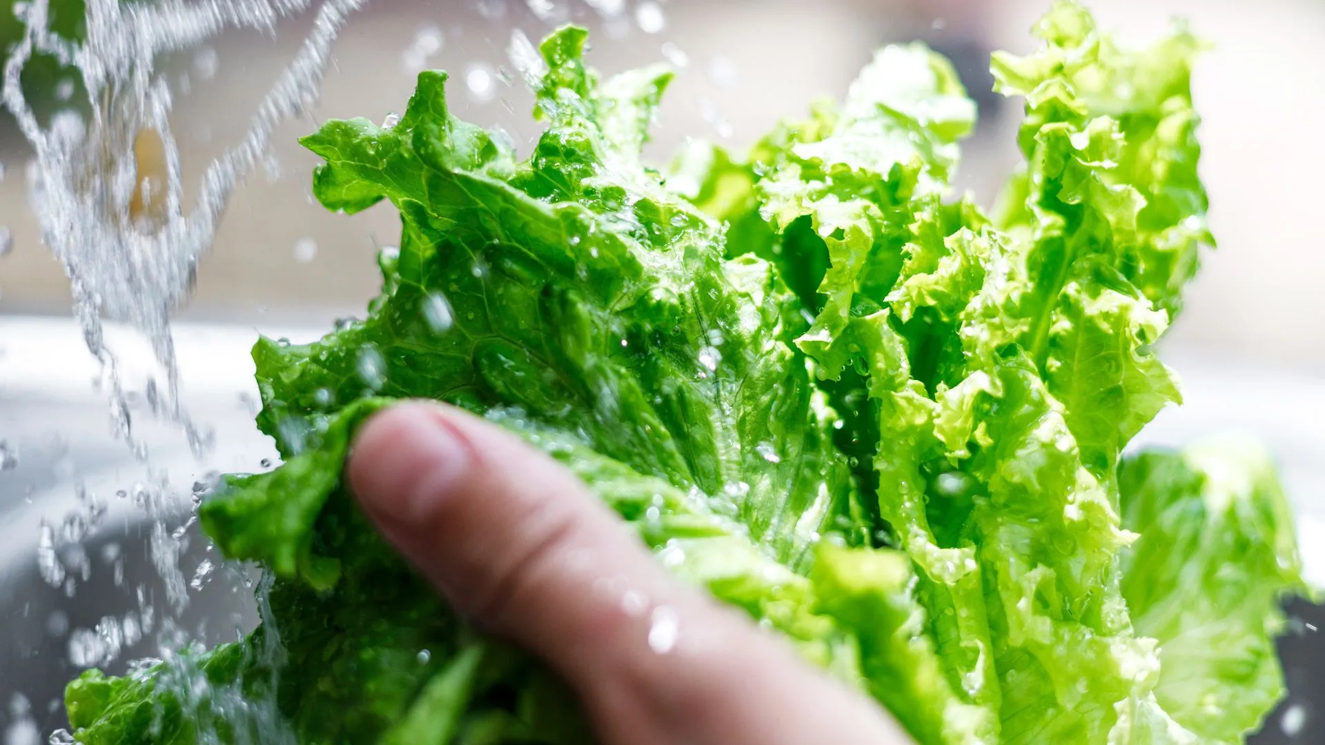 Mit diesem Trick bleibt Salat im Kühlschrank länger frisch