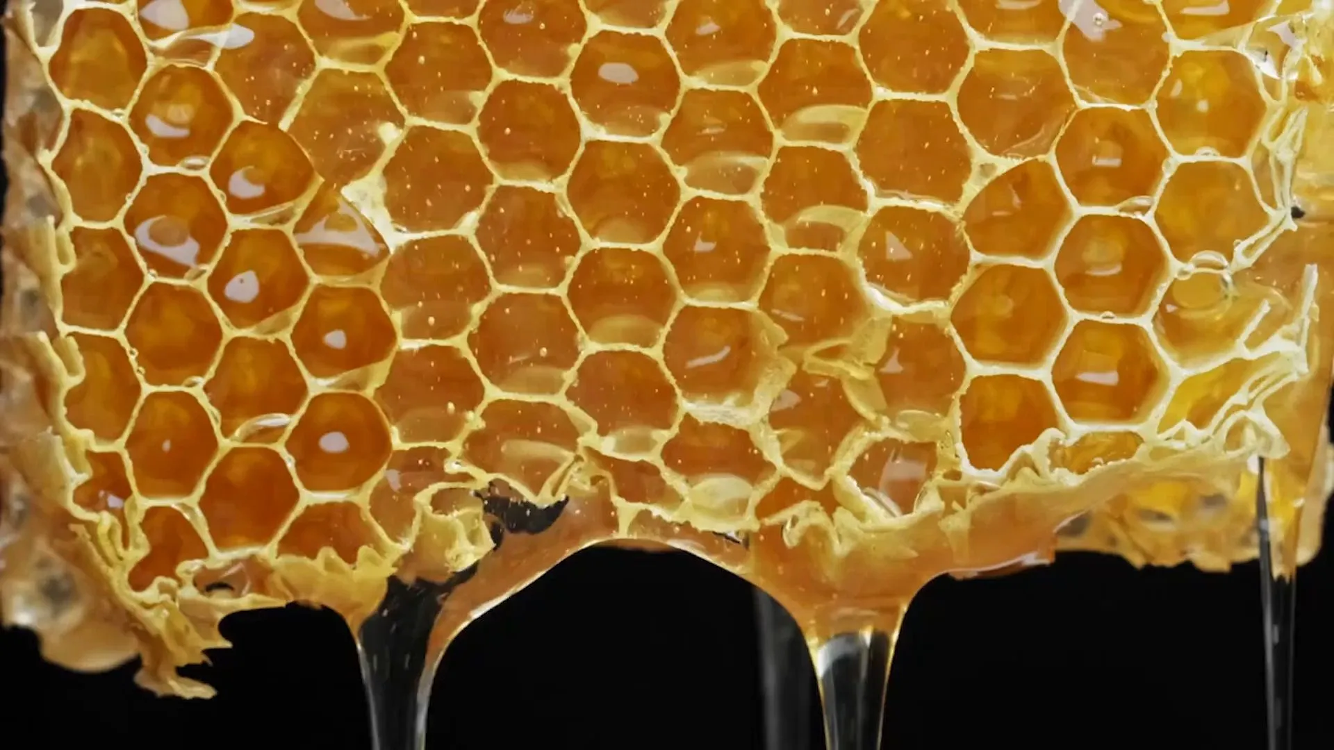 EU importiert massenhaft Honig aus China - und der ist oft gepanscht