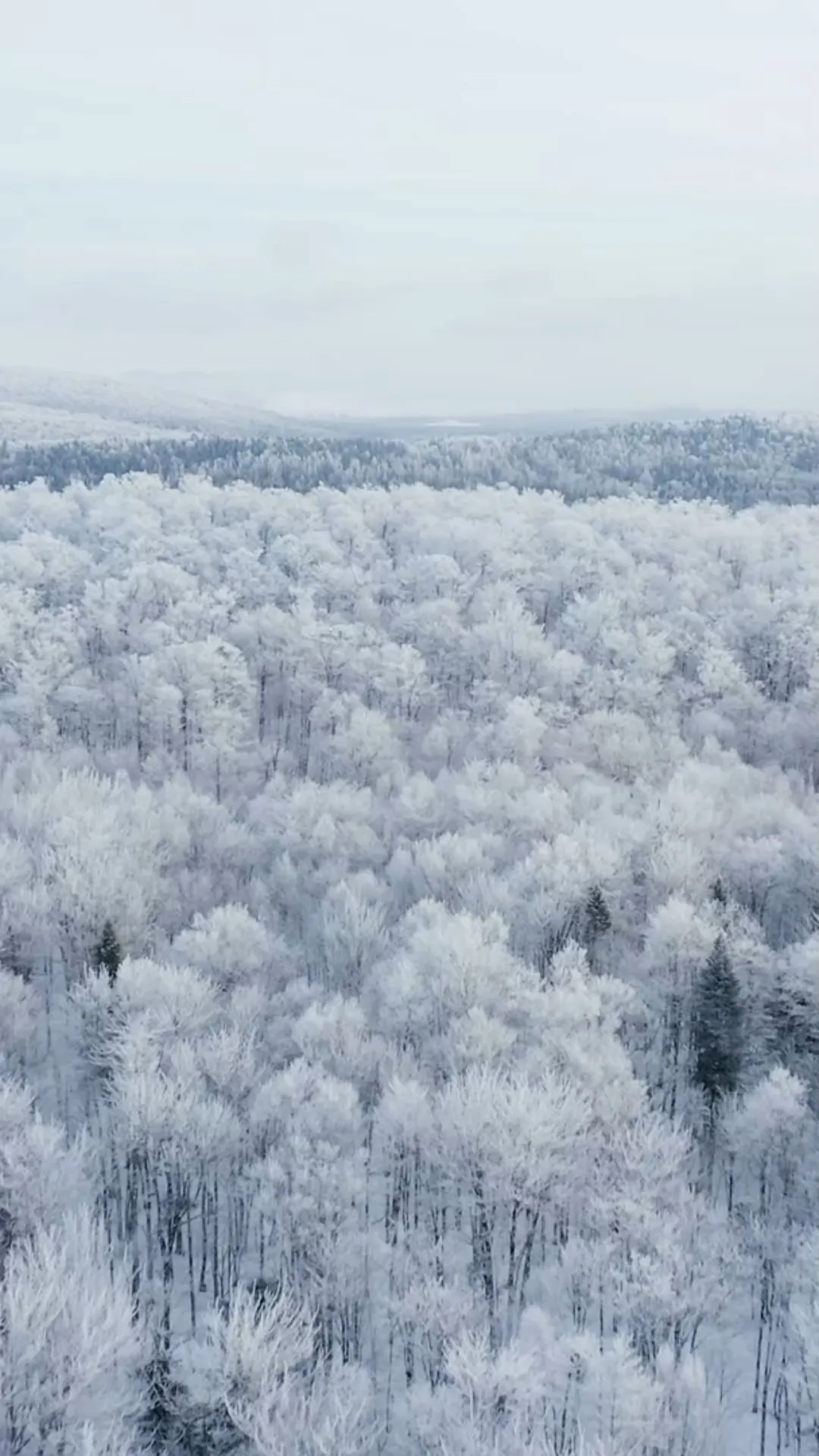 Horoskop im Winter: Wie man den Winterblues vermeiden kann