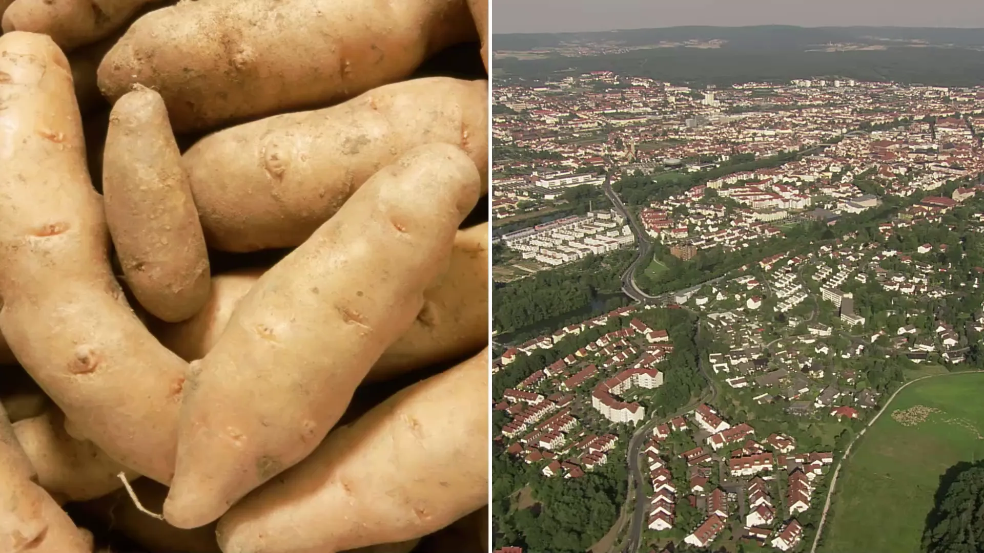 Bamberger Hörnla: Das macht die fränkische Kartoffel so besonders