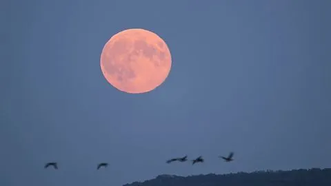 Doppel-Schauspiel: Supermond und Komet am Abendhimmel