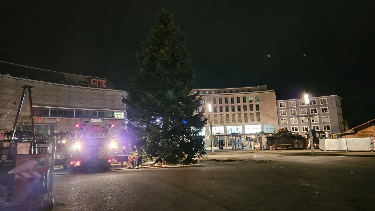 Nach Transportproblemen: Kasseler Weihnachtsbaum erreicht endlich den Königsplatz