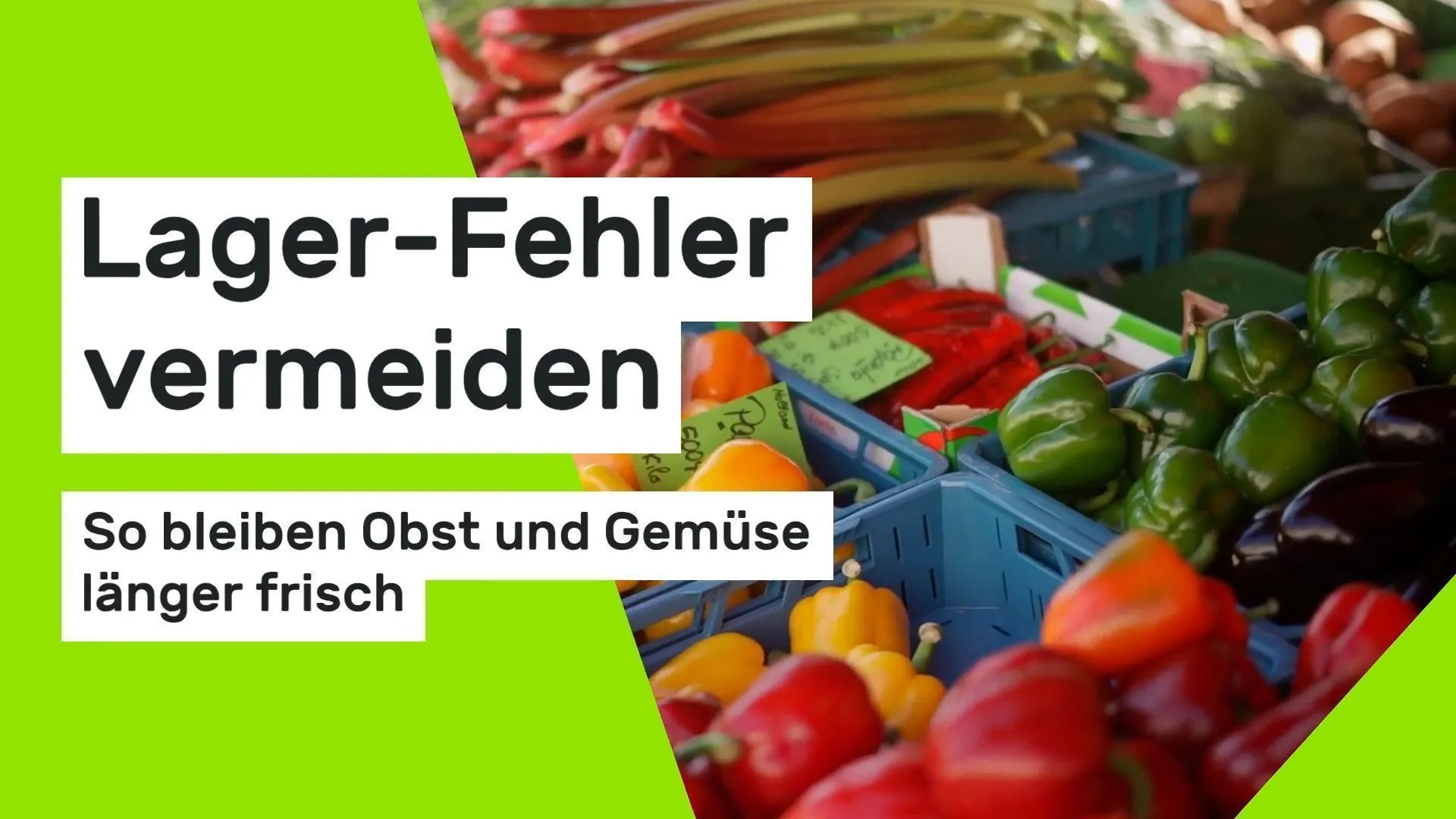 Lager-Fehler vermeiden: So bleiben Obst und Gemüse frisch