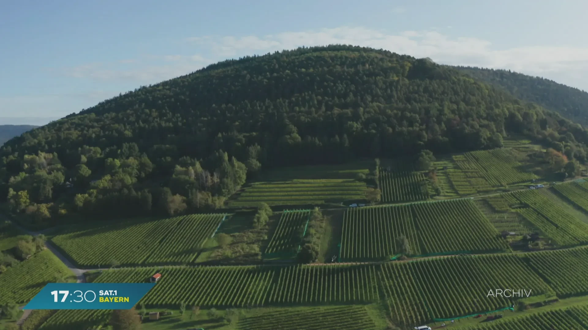 Agricultura en Franconia: se esperan grandes pérdidas en la cosecha de vino y fruta