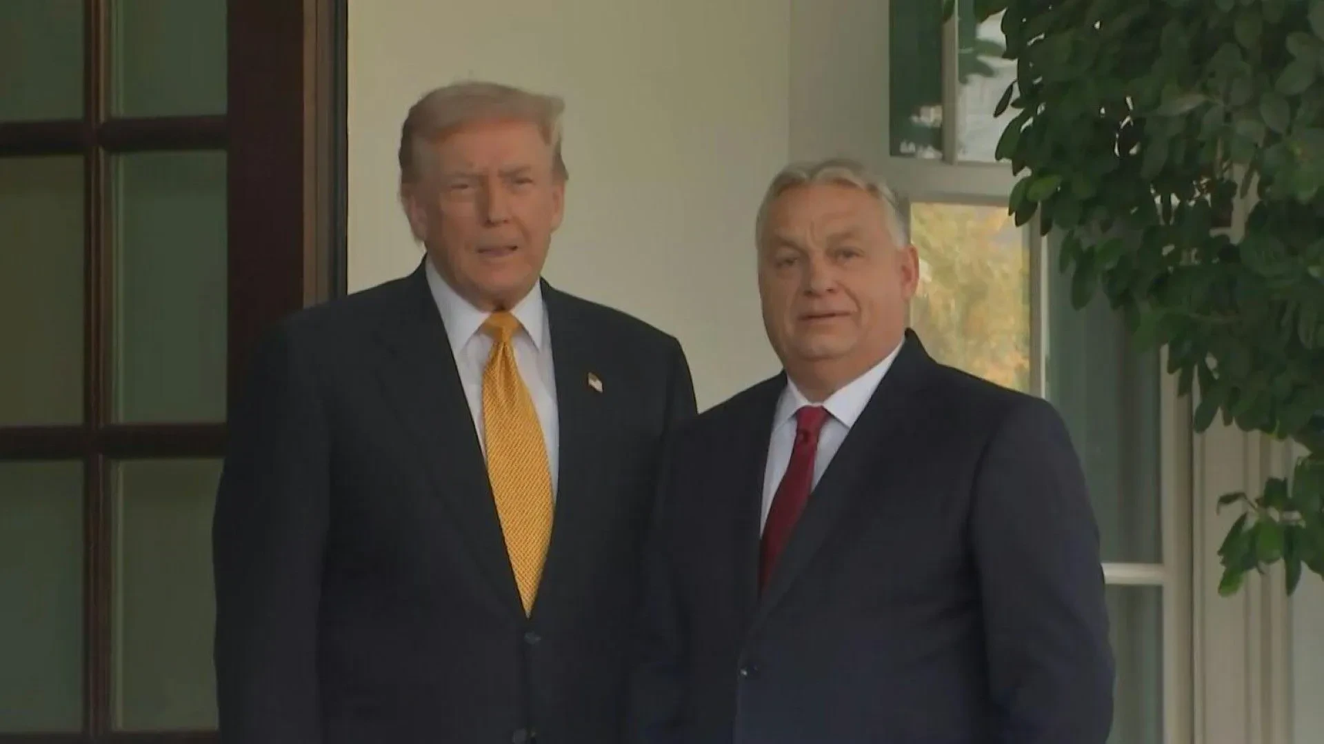 Donald Trump welcomes Hungarian Prime Minister Viktor Orban to the White House