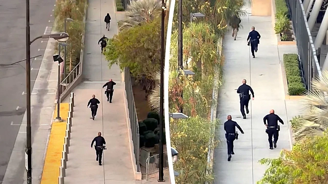 Catch me if you can! A very slow police foot chase in Los Angeles