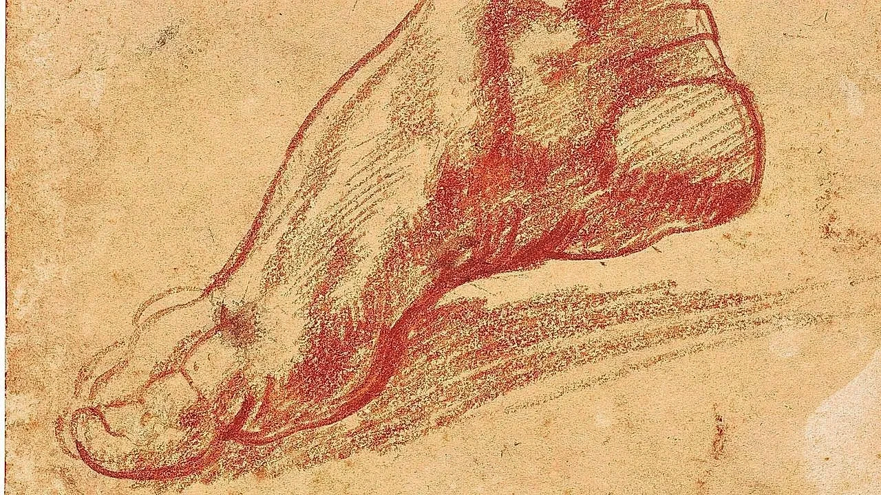 Possible Michelangelo sketch linked to the Sistine Chapel discovered